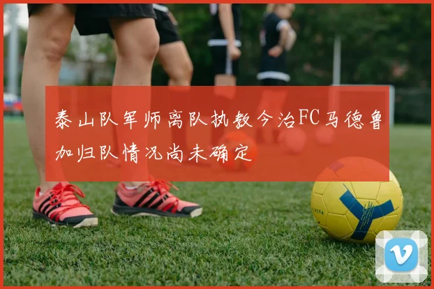 泰山队军师离队执教今治FC马德鲁加归队情况尚未确定