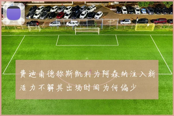 费迪南德称斯凯利为阿森纳注入新活力不解其出场时间为何偏少